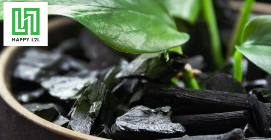 Được sử dụng trong lĩnh vực trồng cây cảnh