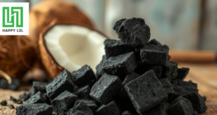 Than gáo dừa Happy L2L