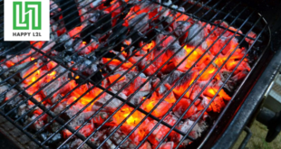 Lý do chọn than nướng xuất khẩu cho nhà hàng và doanh nghiệp