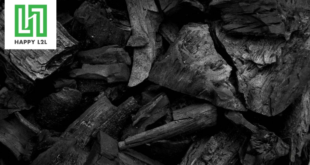 Than nướng sạch Happy L2L