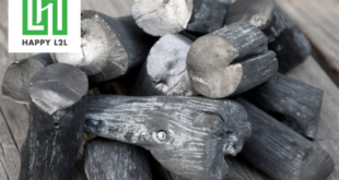 Quan sát hình dáng và màu sắc để đánh giá ban đầu