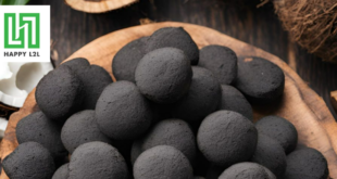 Than củi gáo dừa Happy L2L