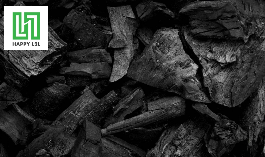 Lợi ích tổng thể khi sử dụng than trồng lan