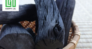 Cách sử dụng than lọc nước hiệu quả