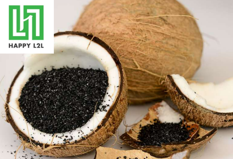 Than gáo dừa Happy L2L