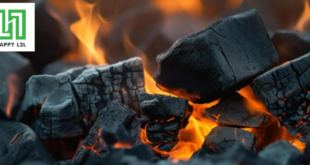 Những yếu tố cấu thành giá của than không khói