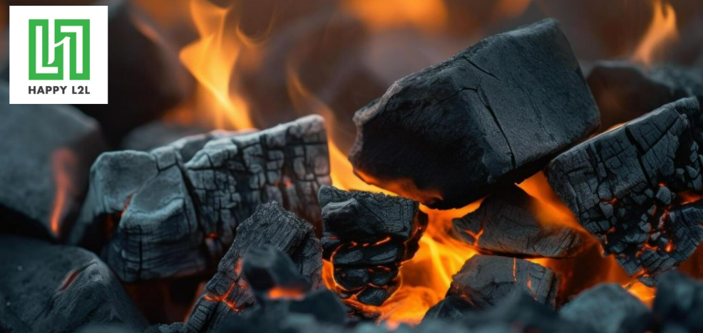 Những yếu tố cấu thành giá của than không khói